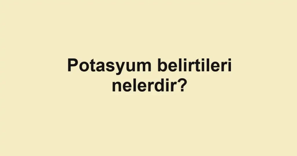 haber-gorseli-1790592956457